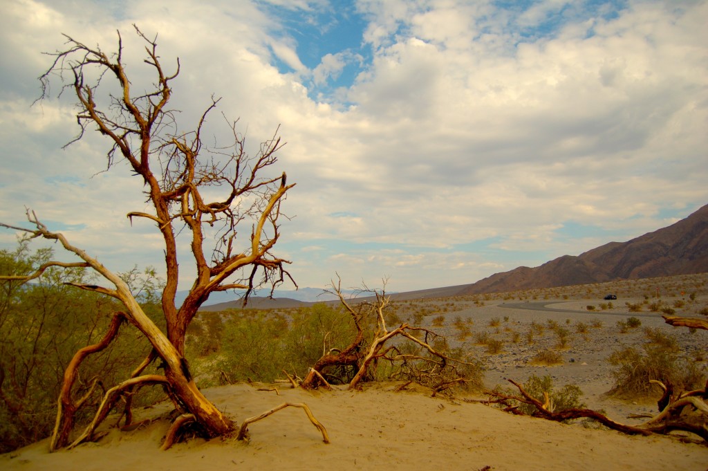 Mesquite Sand Dunes, Death Valley, CA