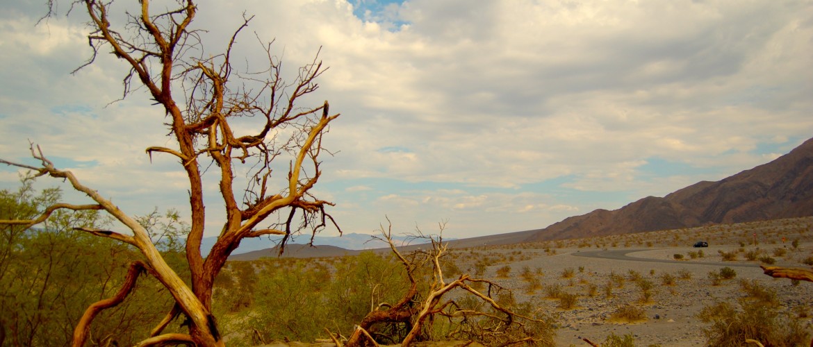 Mesquite Sand Dunes, Death Valley, CA
