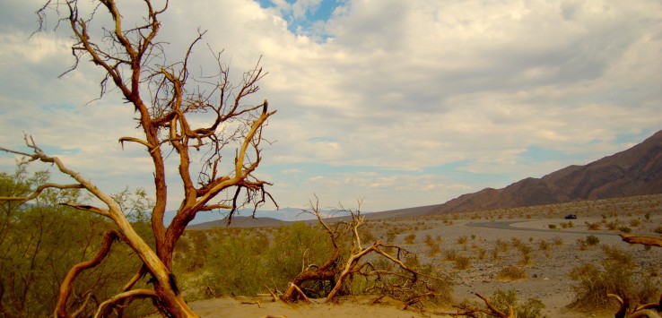 Mesquite Sand Dunes, Death Valley, CA